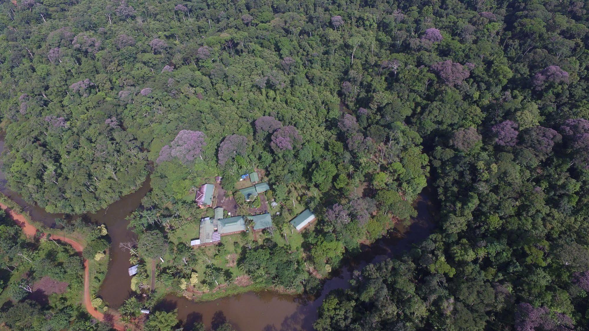 La Laguna Del Lagarto Eco-Lodge Pital  Exterior foto