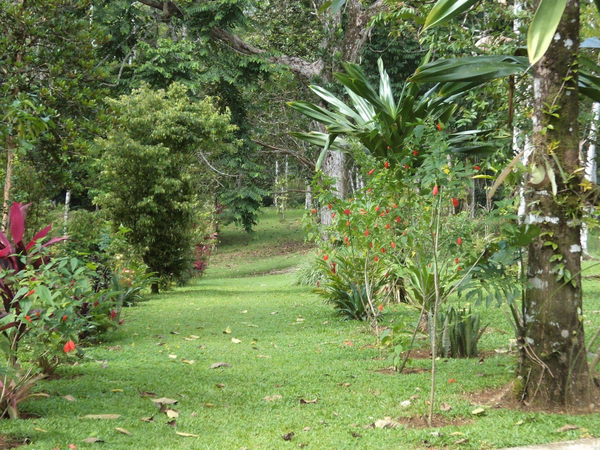 La Laguna Del Lagarto Eco-Lodge Pital  Exterior foto
