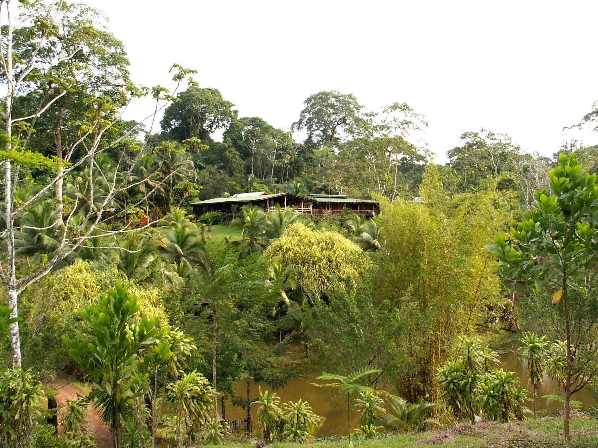 La Laguna Del Lagarto Eco-Lodge Pital  Exterior foto